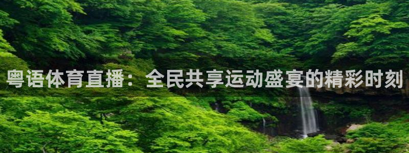 粤语体育直播：全民共享运动盛宴的精彩时刻