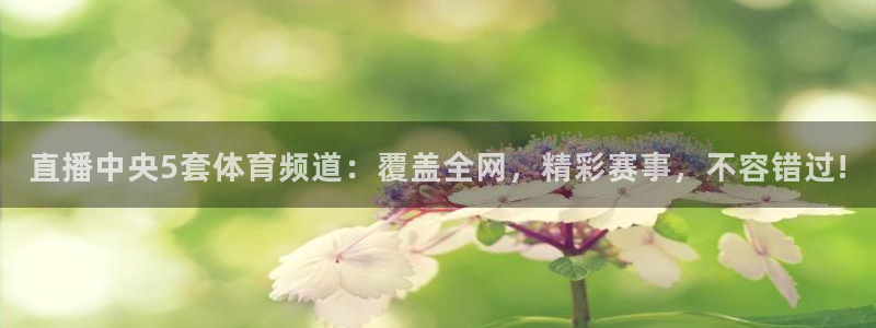 直播中央5套体育频道：覆盖全网，精彩赛事，不容错过!