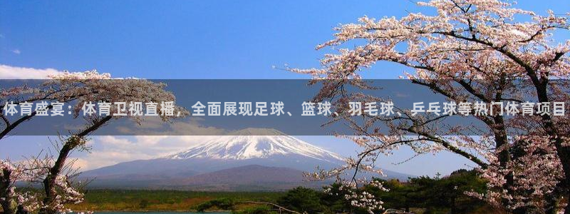 体育盛宴：体育卫视直播，全面展现足球、篮球、羽毛球、乒乓球等热门体育项目