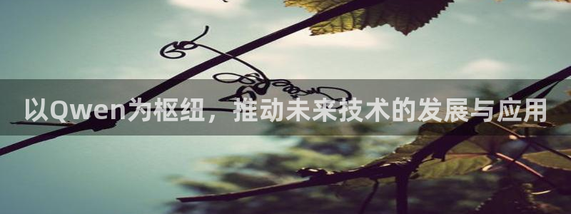 以Qwen为枢纽，推动未来技术的发展与应用