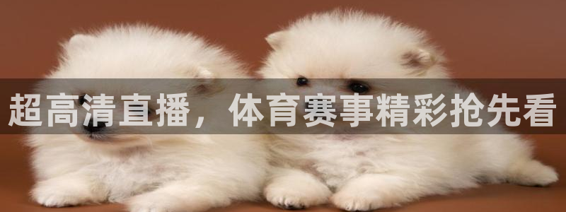超高清直播，体育赛事精彩抢先看