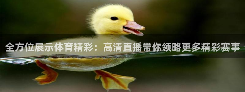 全方位展示体育精彩：高清直播带你领略更多精彩赛事