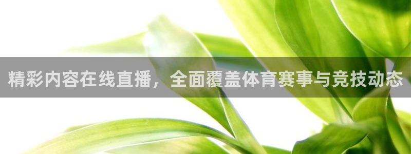 精彩内容在线直播，全面覆盖体育赛事与竞技动态
