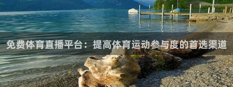 免费体育直播平台：提高体育运动参与度的首选渠道
