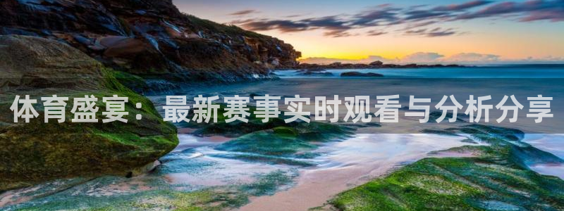 体育盛宴：最新赛事实时观看与分析分享