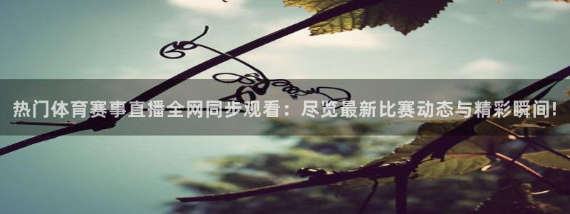 热门体育赛事直播全网同步观看：尽览最新比赛动态与精彩瞬间!