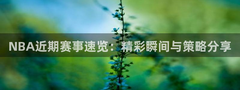 NBA近期赛事速览：精彩瞬间与策略分享