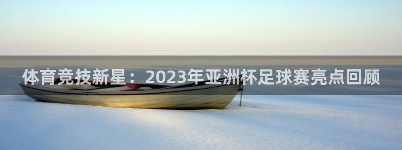 体育竞技新星：2023年亚洲杯足球赛亮点回顾