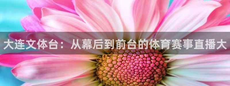 大连文体台：从幕后到前台的体育赛事直播大