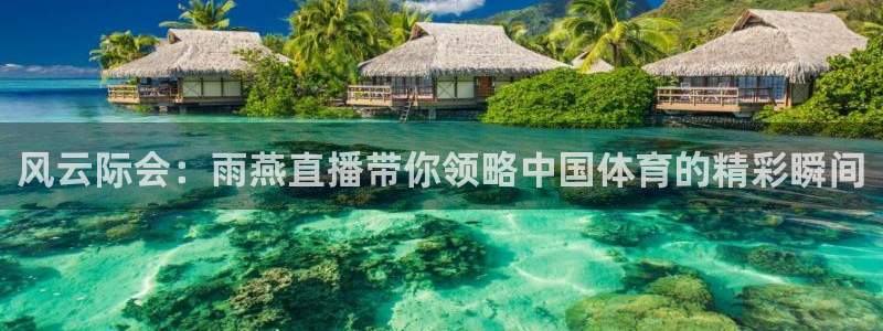 风云际会：雨燕直播带你领略中国体育的精彩瞬间