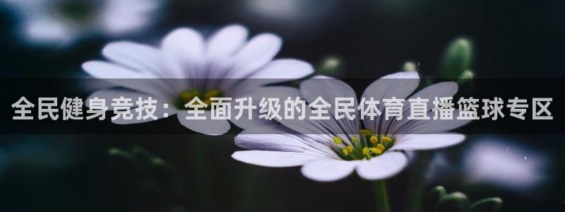 全民健身竞技：全面升级的全民体育直播篮球专区