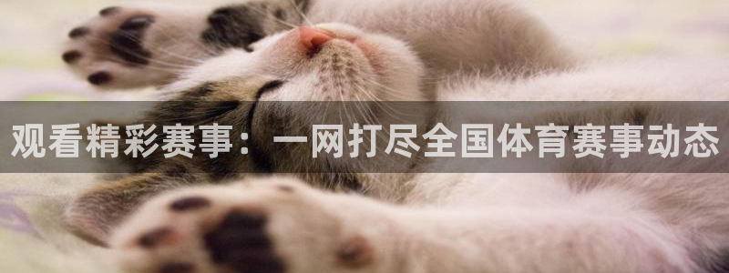 观看精彩赛事：一网打尽全国体育赛事动态