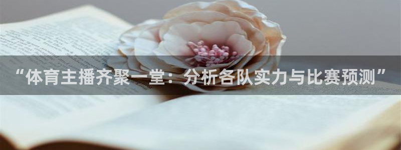 “体育主播齐聚一堂：分析各队实力与比赛预测”