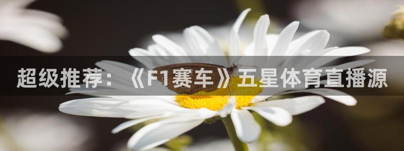 超级推荐：《F1赛车》五星体育直播源