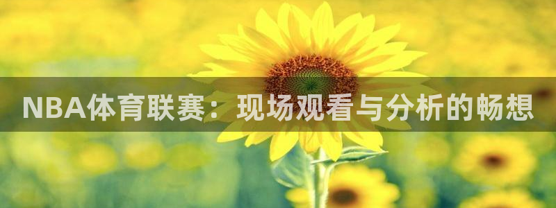 NBA体育联赛：现场观看与分析的畅想