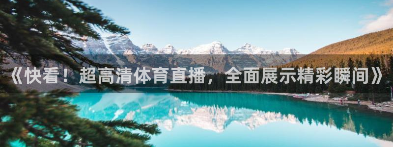 《快看！超高清体育直播，全面展示精彩瞬间》