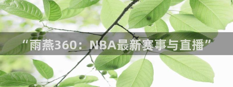 “雨燕360：NBA最新赛事与直播”