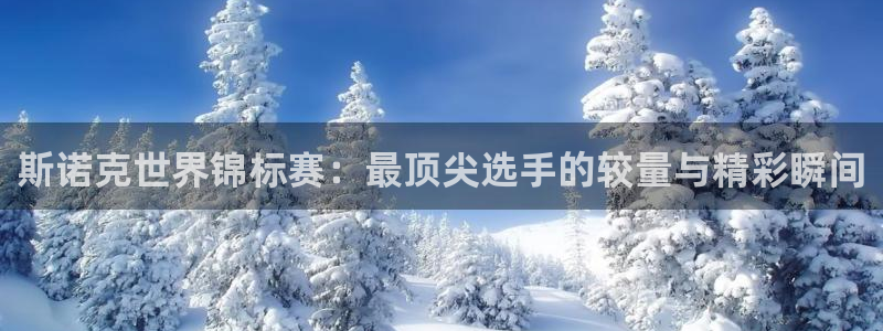 斯诺克世界锦标赛：最顶尖选手的较量与精彩瞬间