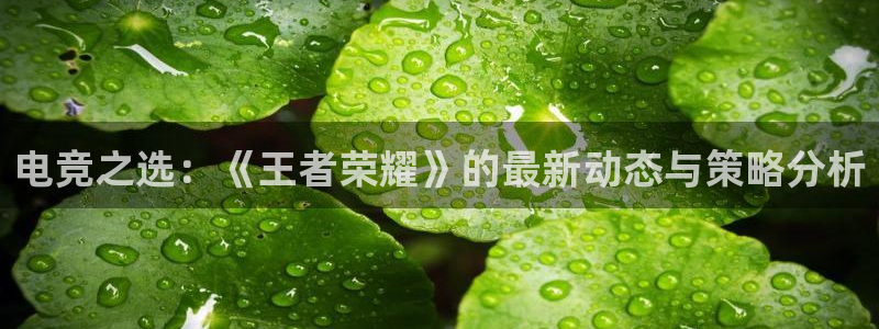 电竞之选：《王者荣耀》的最新动态与策略分析
