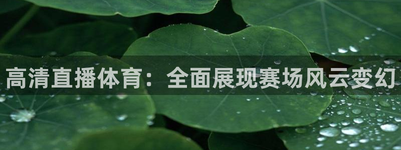 高清直播体育：全面展现赛场风云变幻