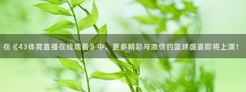 在《43体育直播在线观看》中，更多精彩与激情的篮球盛宴即将上演！