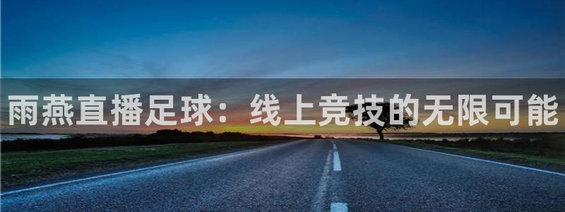 雨燕直播足球：线上竞技的无限可能