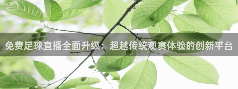 免费足球直播全面升级：超越传统观赛体验的创新平台