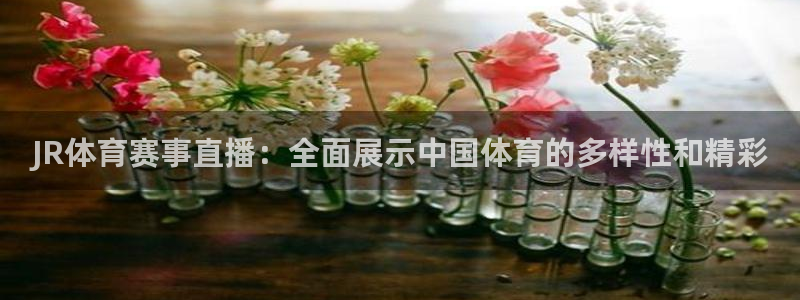 JR体育赛事直播：全面展示中国体育的多样性和精彩