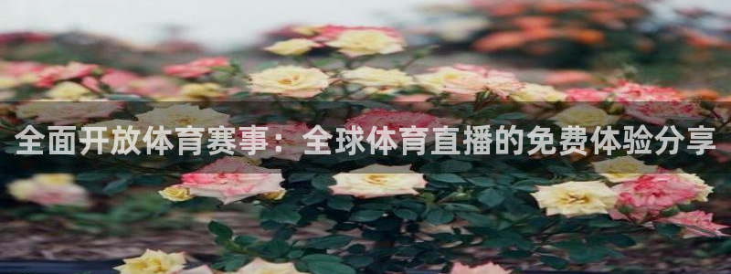 全面开放体育赛事：全球体育直播的免费体验分享