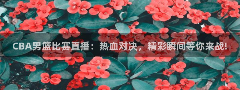 CBA男篮比赛直播：热血对决，精彩瞬间等你来战!