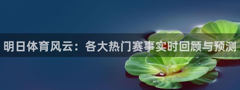 明日体育风云：各大热门赛事实时回顾与预测