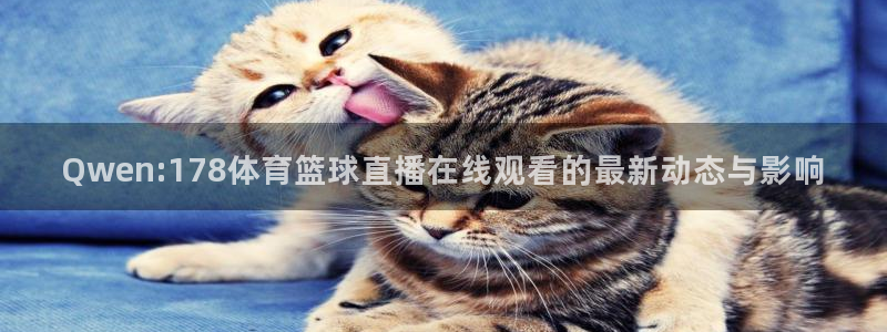 Qwen:178体育篮球直播在线观看的最新动态与影响