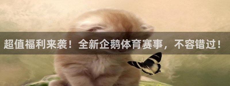 超值福利来袭！全新企鹅体育赛事，不容错过！