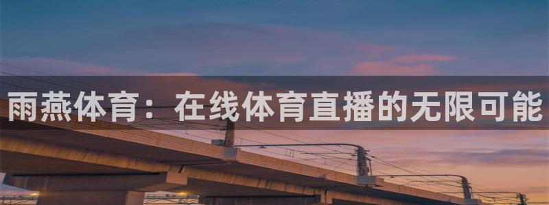 雨燕体育：在线体育直播的无限可能