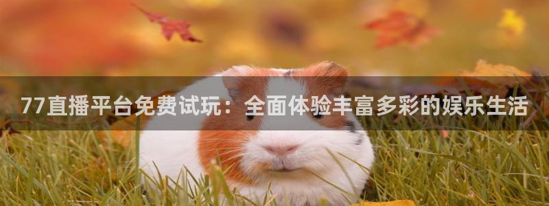77直播平台免费试玩：全面体验丰富多彩的娱乐生活