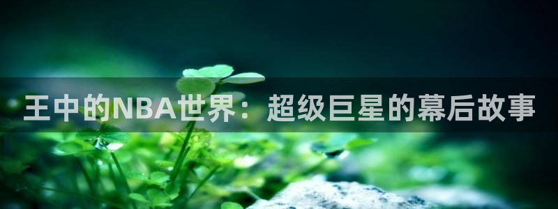 王中的NBA世界：超级巨星的幕后故事