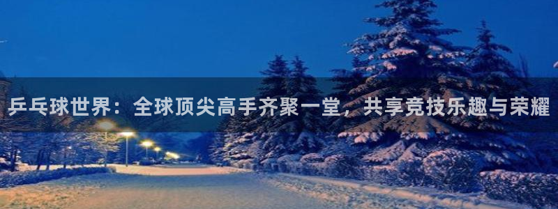 乒乓球世界：全球顶尖高手齐聚一堂，共享竞技乐趣与荣耀