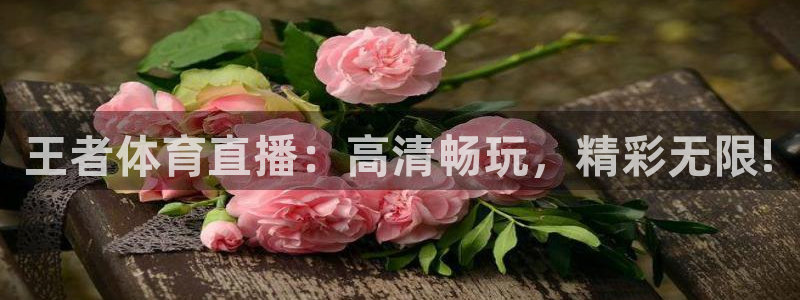 王者体育直播：高清畅玩，精彩无限!