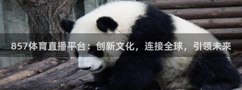 857体育直播平台：创新文化，连接全球，引领未来