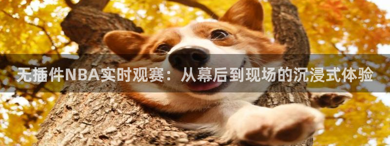 无插件NBA实时观赛：从幕后到现场的沉浸式体验