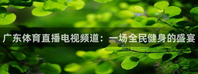 广东体育直播电视频道：一场全民健身的盛宴