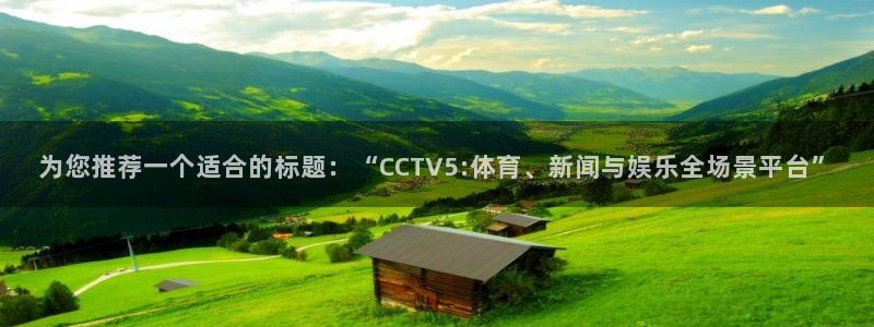为您推荐一个适合的标题：“CCTV5:体育、新闻与娱乐全场景平台”