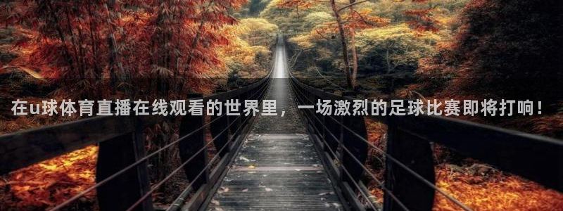 在u球体育直播在线观看的世界里，一场激烈的足球比赛即将打响！