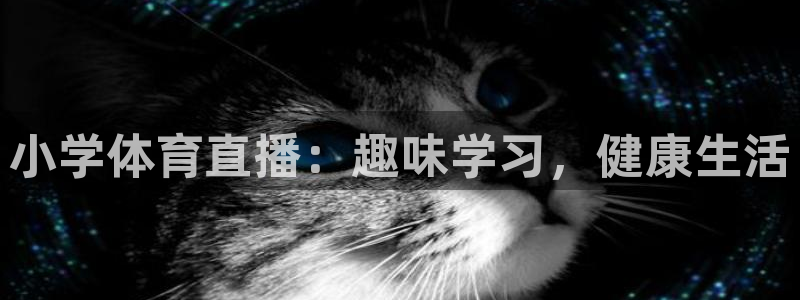 小学体育直播：趣味学习，健康生活