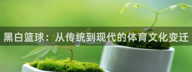 黑白篮球：从传统到现代的体育文化变迁