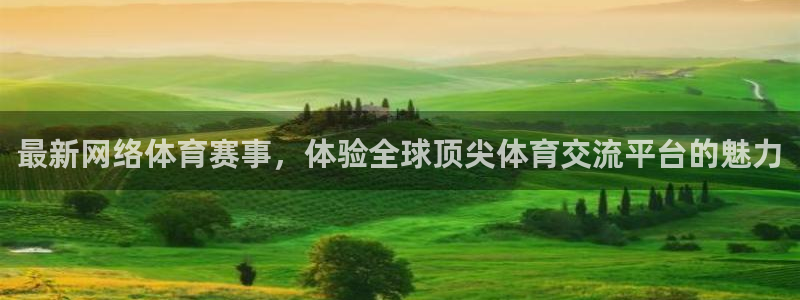 最新网络体育赛事，体验全球顶尖体育交流平台的魅力