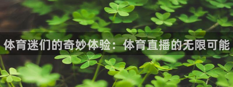 体育迷们的奇妙体验：体育直播的无限可能