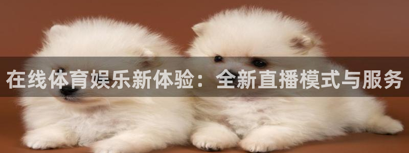 在线体育娱乐新体验：全新直播模式与服务