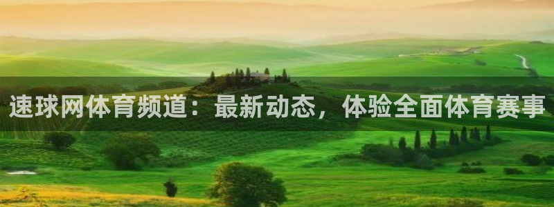 速球网体育频道：最新动态，体验全面体育赛事