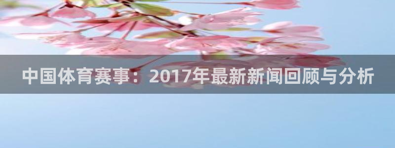 中国体育赛事：2017年最新新闻回顾与分析